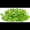 Chinese Cabbage Micro Greens