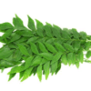 Fresh Curry leaves/bunch