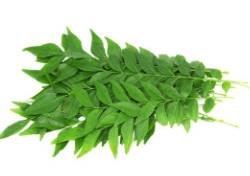 Fresh Curry leaves/bunch