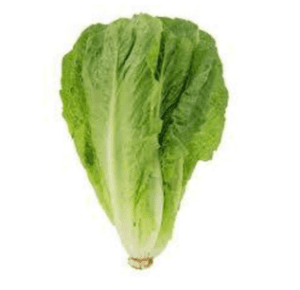 Fresh Romaine Lettuce