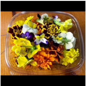 Micro-Edible Flowers